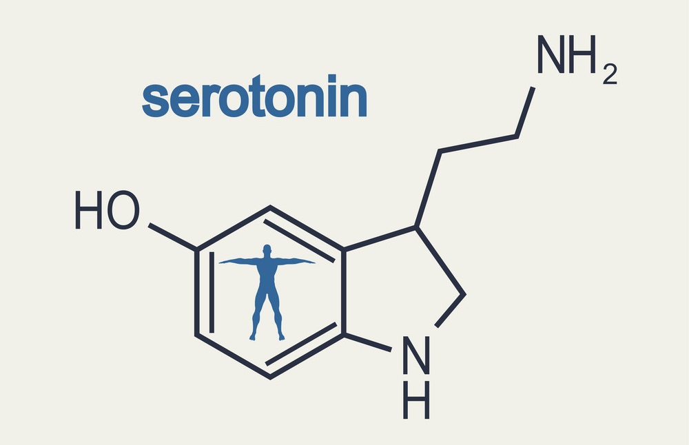 Chemical molecular formula hormone serotonin. Infographics illustration. Man silhouette